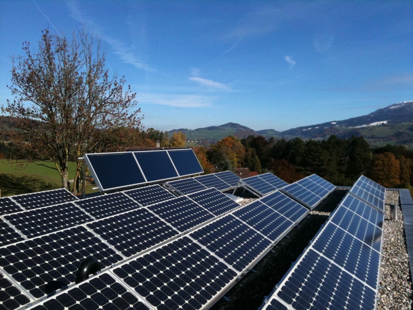 Support Anneau Intérieur Vertical GRS® 004-847 - Pour étaux De Gravure Et Bijouterie